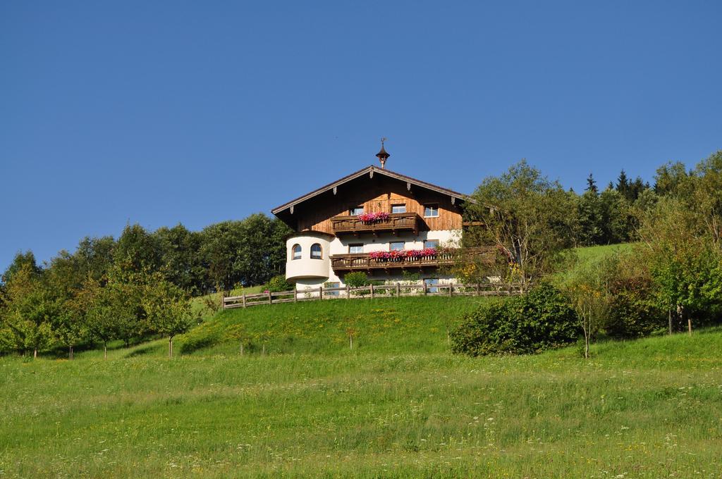 Апартаменты Haus Oberhaslach Абтенау Экстерьер фото